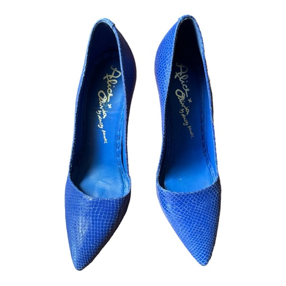 Alice + Olivia by Stacey Bendet Blue Pointed Toe Heels
Size 39. - Picture 2 of 6